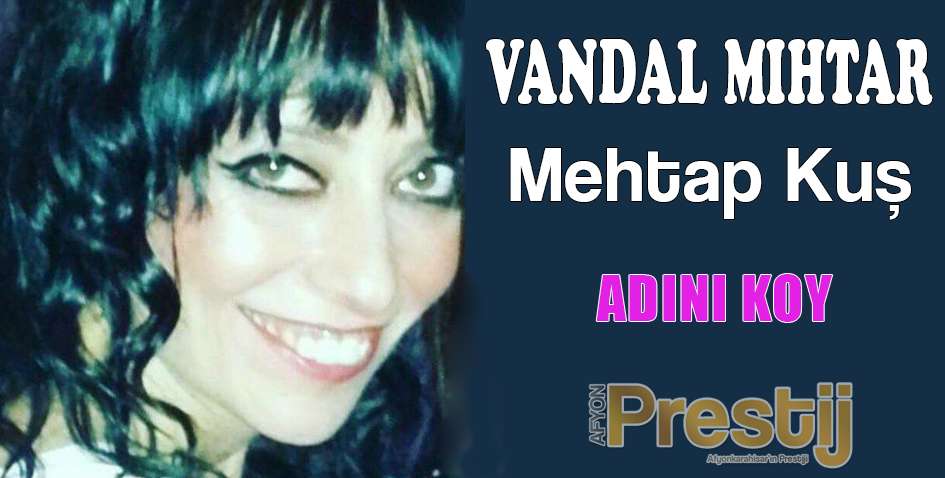 ADINI KOY
