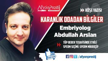 TÜP BEBEK TEDAVİSİNDE ETKİLİ SPERM SEÇİMİ; SPERM MİKROÇİP